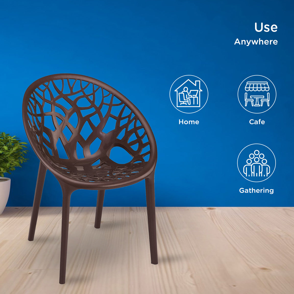 Nilkamal Crystal Polypropylene Premium Chair (Weather Brown)