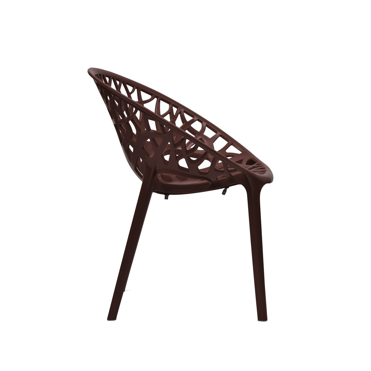 Nilkamal Crystal Polypropylene Premium Chair (Weather Brown)