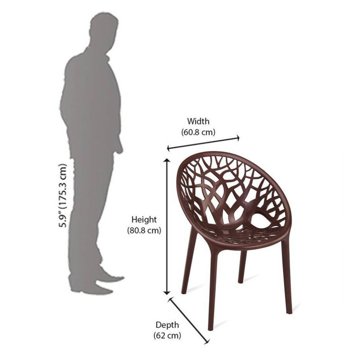 Nilkamal Crystal Polypropylene Premium Chair (Weather Brown)